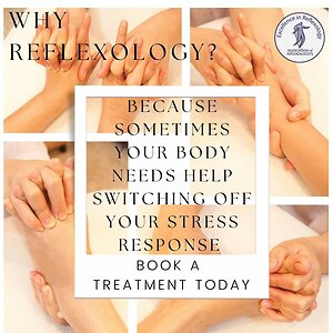 book a treatment today