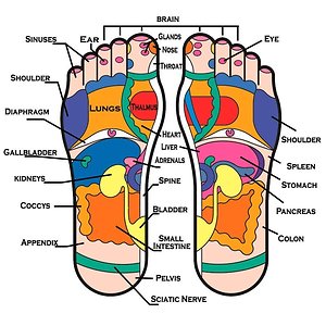 About me. foot diagram
